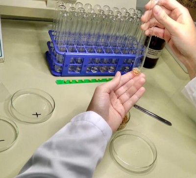 Teste de Peroxidase
