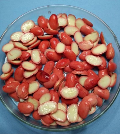 Tetrazólio